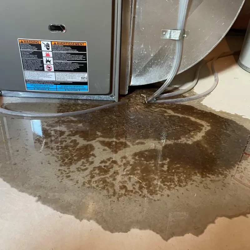 Appliance Leak Cleanup in Burlington, VT